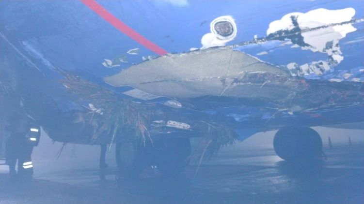 Самолет "Белавиа" после воскресного происшествия в "Борисполе". Фото: соцсети
