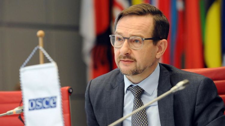 Томас Гремингер. Фото: osce.org