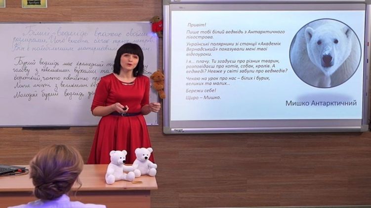 Мишка Антарктический задавал вопросы учителю в мессенджере. Фото: скриншот с видео