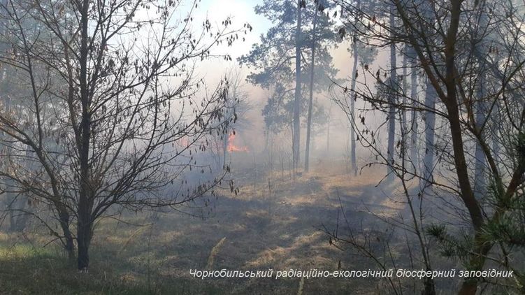 Пылающая зона отчуждения. Фото: Facebook/ zapovidnyk2018