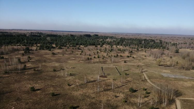 В зоне отчуждения продолжаются пожары. Привлечена военная техника и более тысячи спасателей. Фото: Facebook / Госагентство по управлению зоной отчуждения