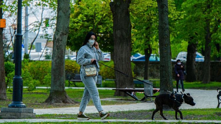 Найдены новые потенциальные лекарства против коронавируса. Фото: Страна