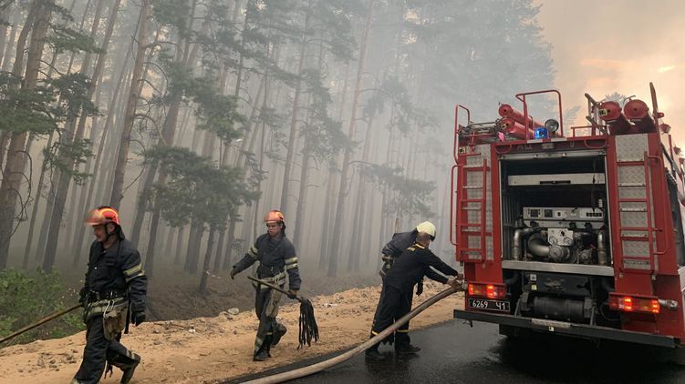 Лесные пожары в Луганской области могли возникнуть из-за попадания снаряда. Фото: ГСЧС