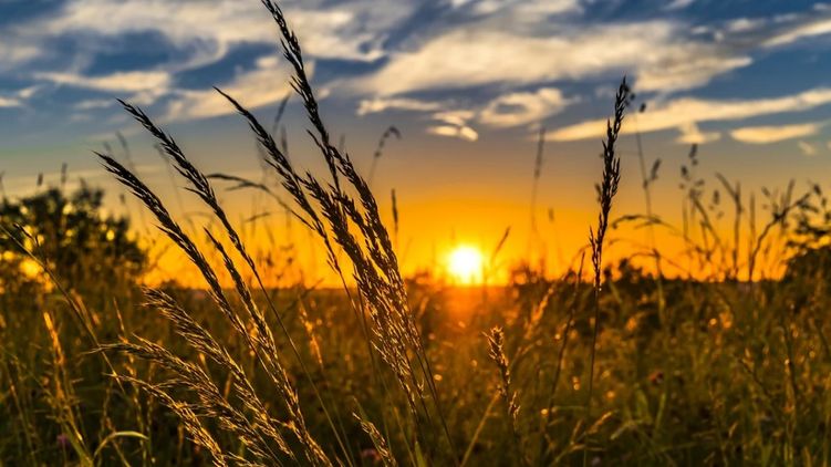До выходных продержится приятная нежаркая погода. Фото: pixabay.com