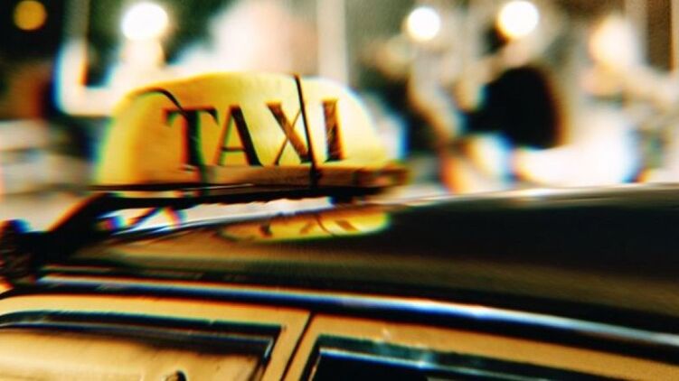 В Виннице таксист устроил драку из-за неуказанного в поездке щенка, фото: tsn.ua
