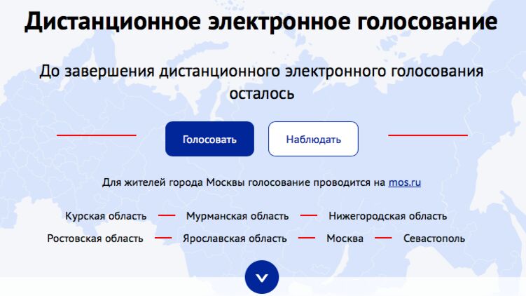 Дистанционное электронное голосование. Скриншот с сайта