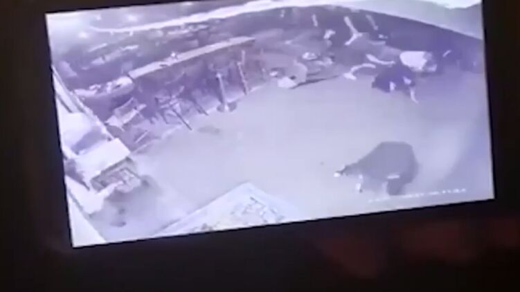 Во время теракта ранения получили 10 человек. Скриншот из видео