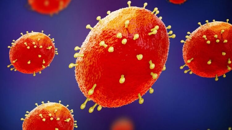 В США распространяется опасный вирус. Фото: news-medical.net